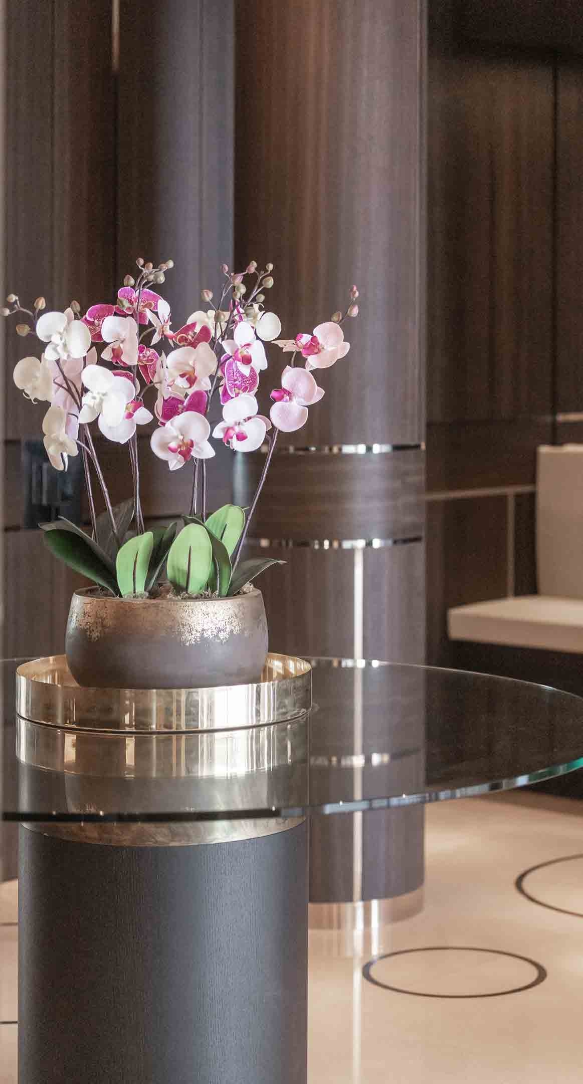 3-2024-essentus-projects-tour-odeon